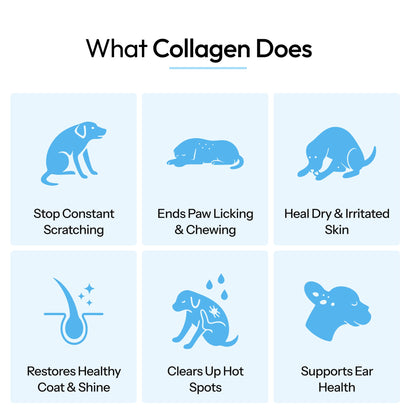 HealthyPaws Liquid Collagen 3x Drops